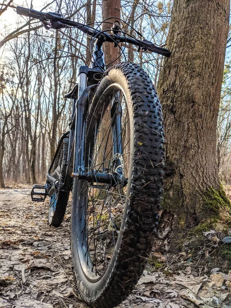 MTB bicycle on the trail in the spring season