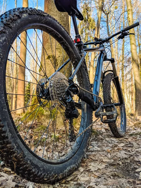 春の道で Mtb 自転車 — ストック写真