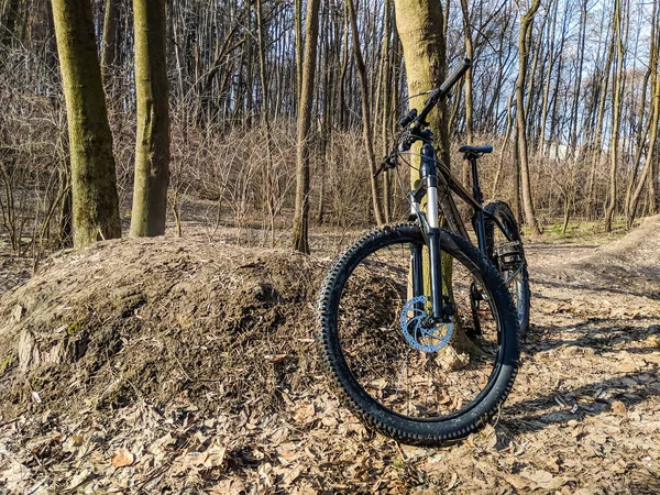 Vtt Vélo Sur Sentier Printemps — Photo