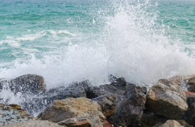Yaz sezonunda Odesa deniz manzarası