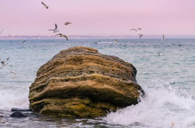 Yaz sezonunda Odesa deniz manzarası