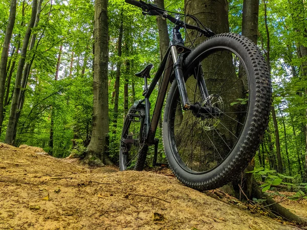 Bicicleta Mtb Trilha Temporada Primavera — Fotografia de Stock