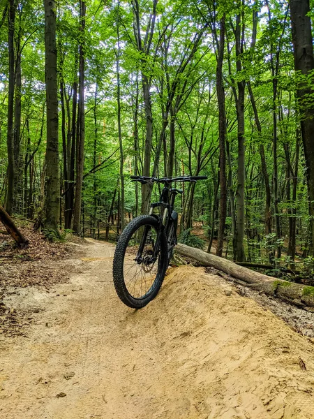 春の道で Mtb 自転車 — ストック写真