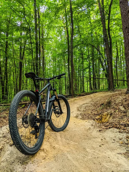 春の道で Mtb 自転車 — ストック写真