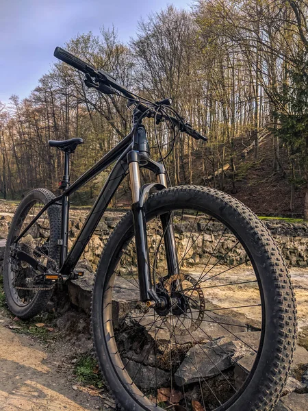 Mtb Kolo Stezce Jarní Sezóně — Stock fotografie