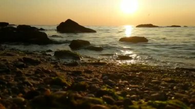 Taşlar ile deniz sahilde günbatımı