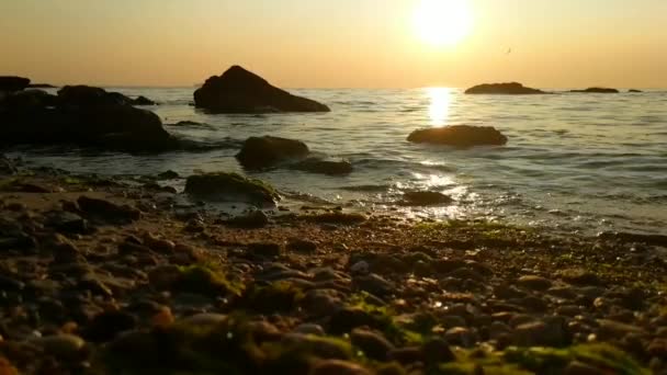 Pôr do sol na praia do mar com pedras — Vídeo de Stock