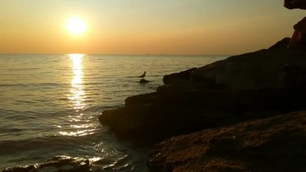 Západ slunce na pláži u moře s kameny — Stock video