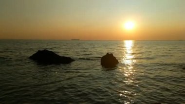 Taşlar ile deniz sahilde günbatımı