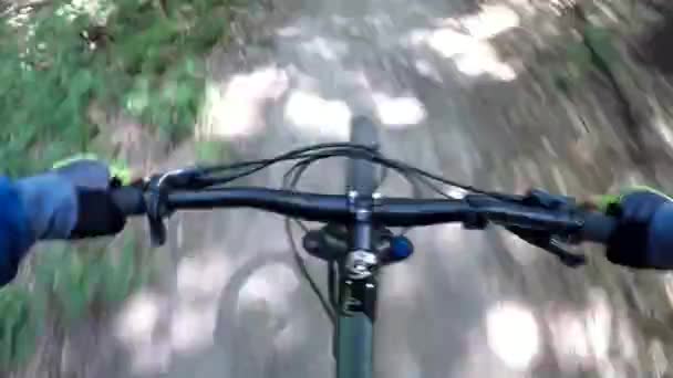 Rower MTB na szlaku w sezonie wiosna — Wideo stockowe