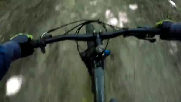 वसंत ऋतू हंगामात ट्रेलवर एमटीबी सायकल — स्टॉक व्हिडिओ
