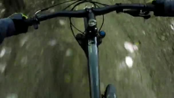 MTB fiets op het parcours in de lente seizoen — Stockvideo