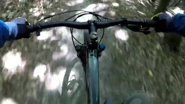 MTB bicycle on the trail in the spring season — Stock Video