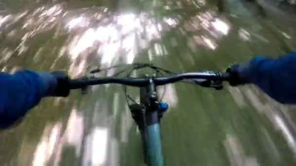 MTB fiets op de trail in het zomerseizoen; — Stockvideo