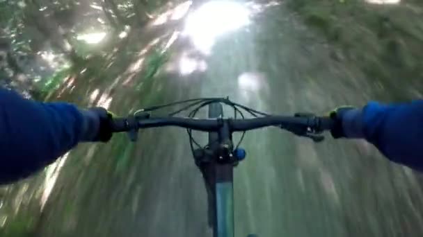 MTB fiets op de trail in het zomerseizoen; — Stockvideo