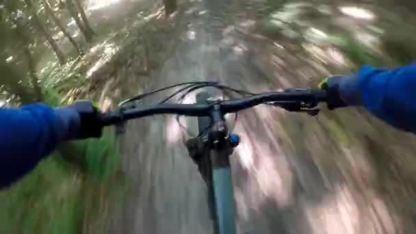 Bicicleta MTB na trilha na temporada de verão ; — Vídeo de Stock