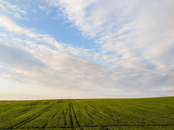 Colline Carpatiche Durante Pioggia Con Nuvole Drammatiche — Foto Stock