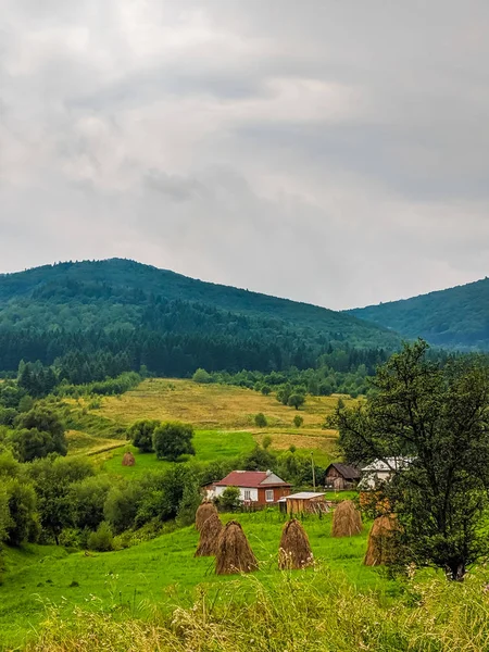 Karpaten Hügel Während Des Regens Mit Dramatischen Wolken — Stockfoto