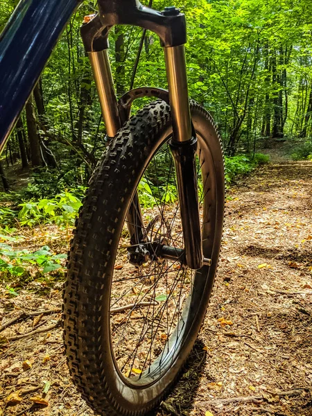 MTB Bisiklet yaz sezonu izinde