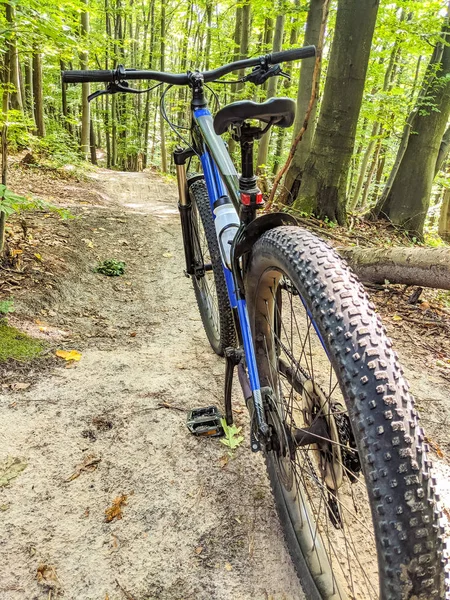 MTB bicycle on the trail in the summer season