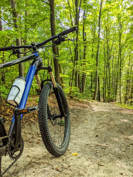 夏のシーズンの道で Mtb 自転車 — ストック写真