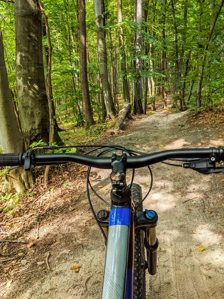 MTB bicycle on the trail in the summer season