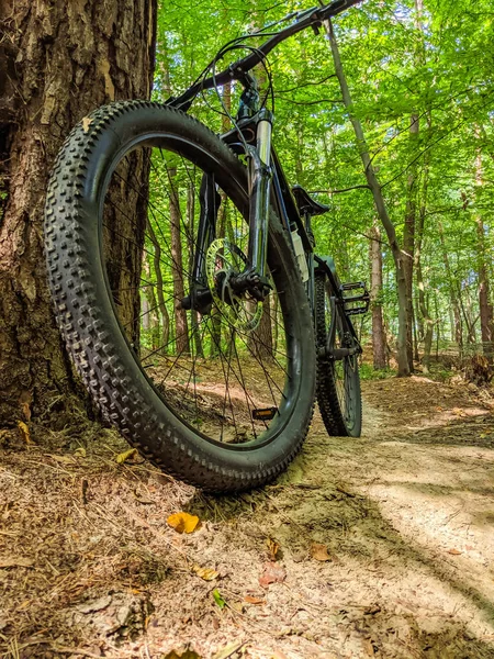 MTB bicycle on the trail in the summer season