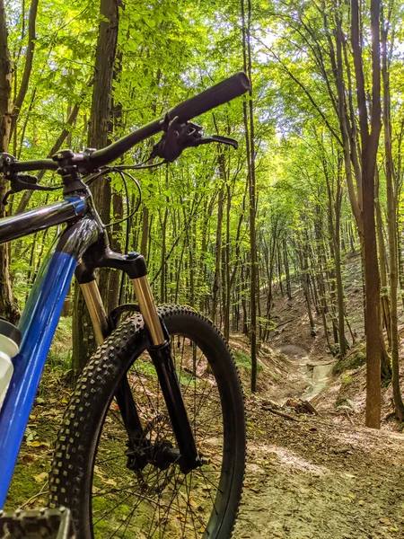 MTB Bisiklet yaz sezonu izinde