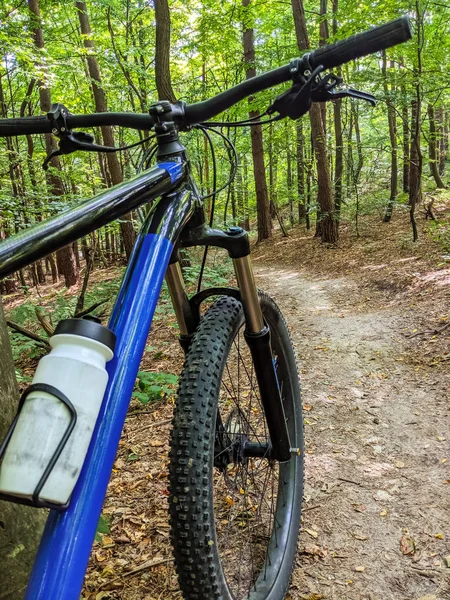 MTB bicycle on the trail in the summer season