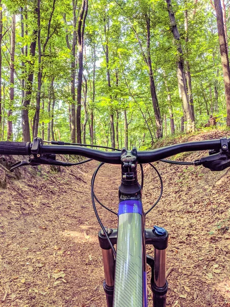 MTB bicycle on the trail in the summer season