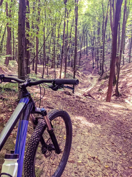 MTB Bisiklet yaz sezonu izinde