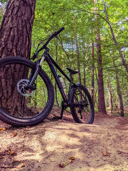 MTB Bisiklet yaz sezonu izinde