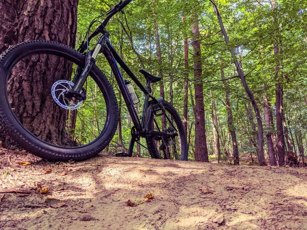 Mtb Fahrrad Der Sommersaison Unterwegs — Stockfoto