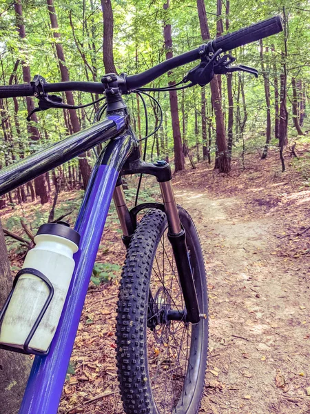 MTB bicycle on the trail in the summer season