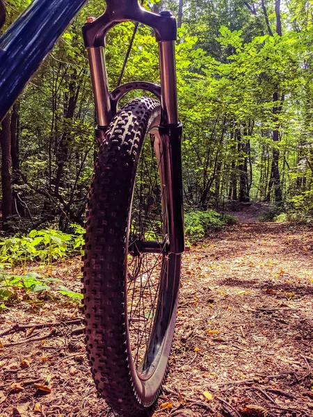 MTB Bisiklet yaz sezonu izinde