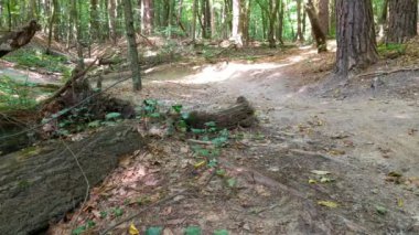 MTB Bisiklet yaz sezonu izinde