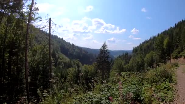 Nagrania Wideo Karpat Widoku Góry Sezonie Letnim — Wideo stockowe