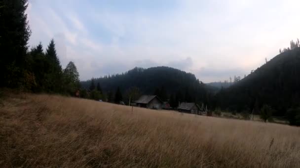 Images Vidéo Avec Des Montagnes Carpates Sur Vue Haut Pendant — Video