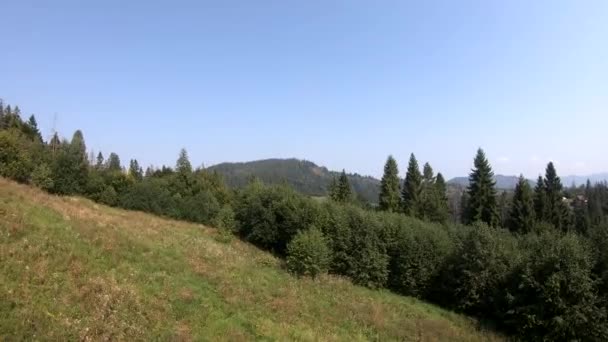 Filmagem Vídeo Com Montanhas Dos Cárpatos Vista Superior Durante Temporada — Vídeo de Stock