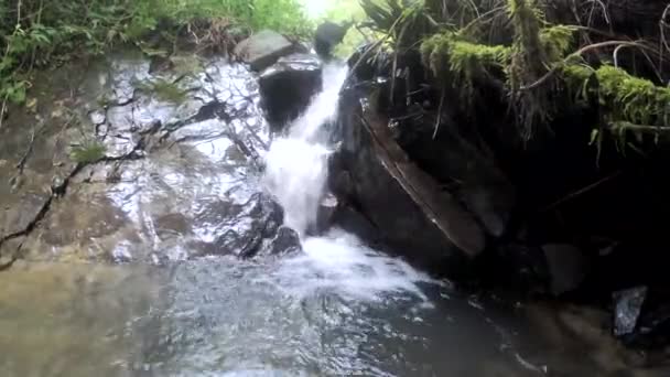 Pequeña Cascada Las Montañas Cárpatos Durante Temporada Verano — Vídeo de stock