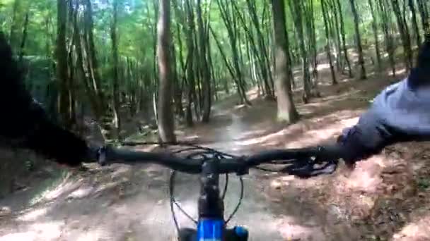 Mtb Radeln Auf Dem Trail Der Sommersaison — Stockvideo