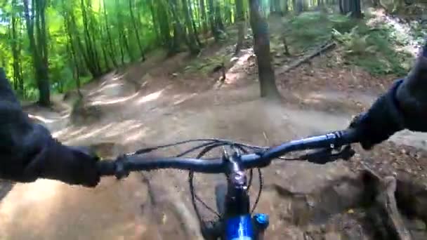 Mtb Bicycle Riding Trail Summer Season — Stock Video