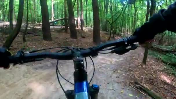 Mtb Bicicletta Sul Sentiero Durante Stagione Estiva — Video Stock