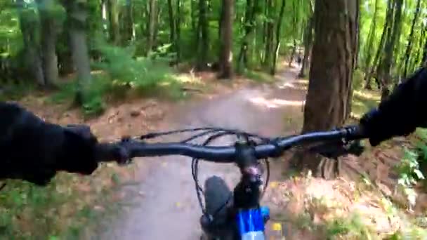 Mtb Radeln Auf Dem Trail Der Sommersaison — Stockvideo