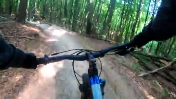 Mtb Radeln Auf Dem Trail Der Sommersaison — Stockvideo