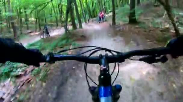 夏季在小径上骑自行车的 Mtb 自行车 — 图库视频影像