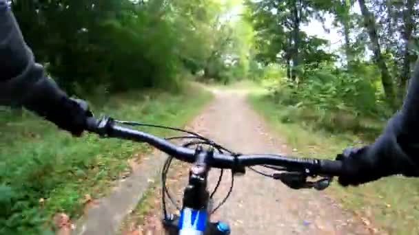夏のシーズンの道で Mtb 自転車 — ストック動画