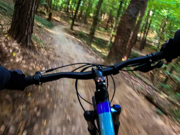 Vtt Vélo Dans Parc Vélos Automne — Photo