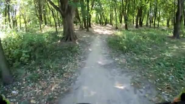 VTT vélo sur le sentier dans le parc à vélos 