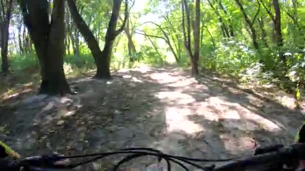 Mtb Bicicleta Sendero Parque Bicicletas — Vídeo de stock